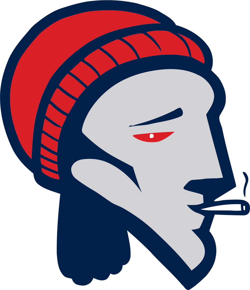 New England Patriots Smoking Weed Logo fabric transfer
